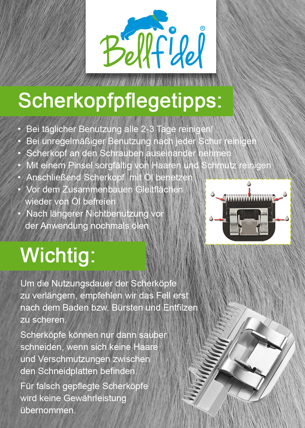 https://www.bellfidel.de/media/image/6c/c1/a4/Scherkopfpflegetipps-15x10-7-copy.jpg