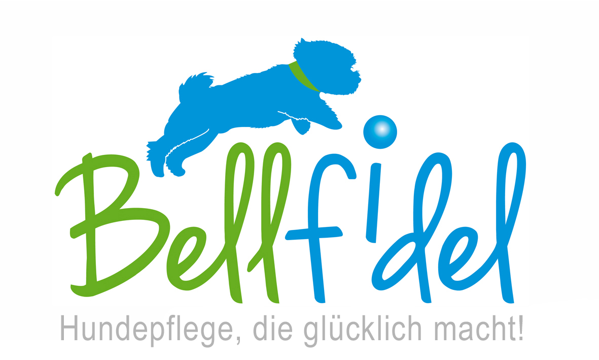 Scherköpfe & | Bellfidel | Aufsteckkämme Onlineshop Scheren & Schermaschinen